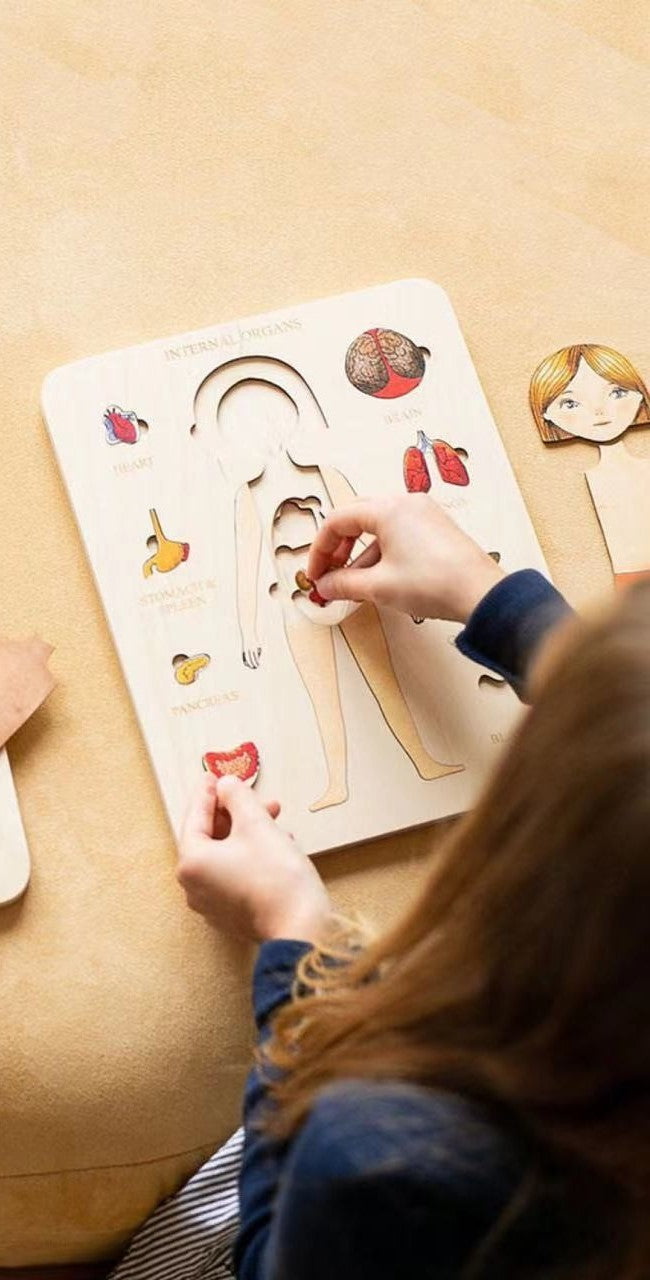Body Parts Educational Puzzle – Montessori Wooden Human Anatomy Puzzle for Kids