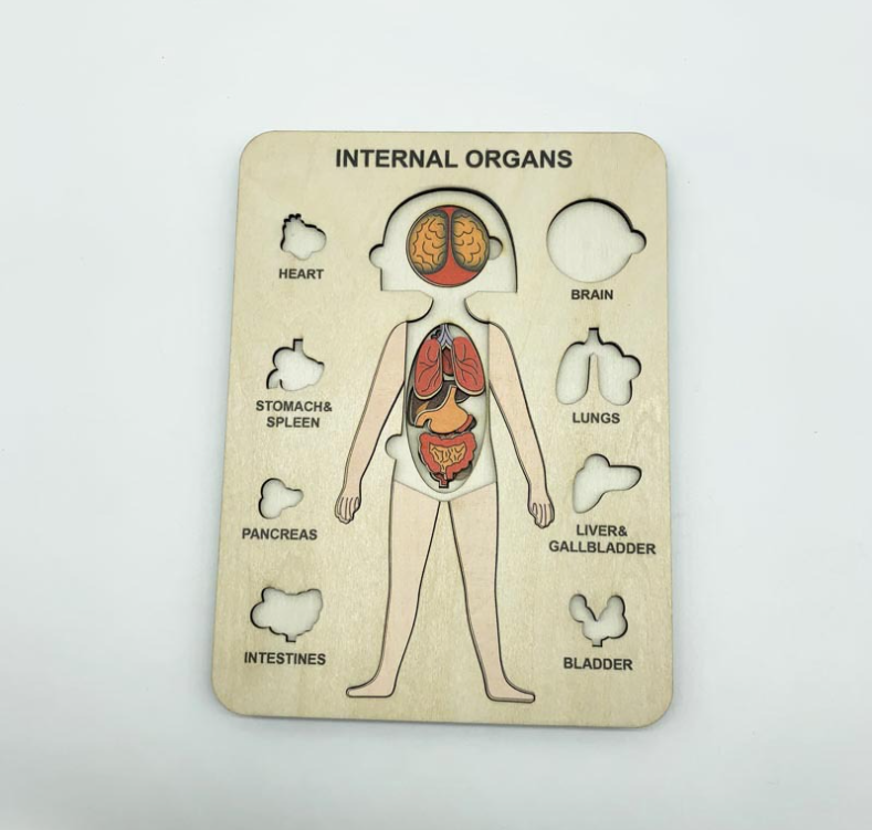 Body Parts Educational Puzzle – Montessori Wooden Human Anatomy Puzzle for Kids