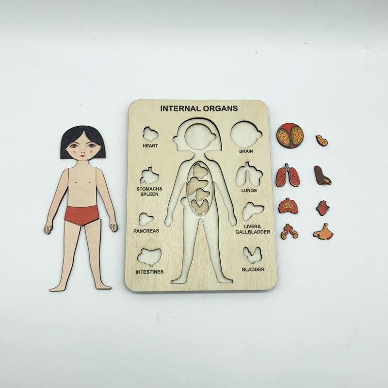 Body Parts Educational Puzzle – Montessori Wooden Human Anatomy Puzzle for Kids