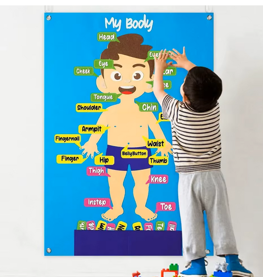 Felt Body Parts Learning Toy for Toddlers – Interactive Felt Board Set for Color Recognition and Education
